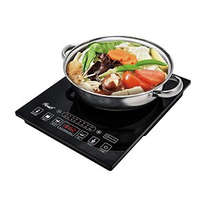 rosewill induction cooker