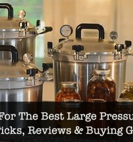 Best-Large-Pressure-Cookers